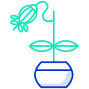 external plant-indoor-plants-icongeek26-outline-colour-icongeek26-3 icon