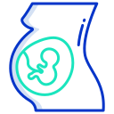 external pregnancy-pregnancy-amp-maternity-icongeek26-outline-colour-icongeek26 icon