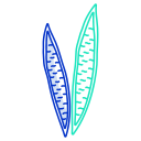 external snake-plant-leaves-icongeek26-outline-colour-icongeek26 icon