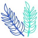 external tropical-leaves-icongeek26-outline-colour-icongeek26 icon