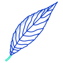 external willow-leaves-icongeek26-outline-colour-icongeek26 icon