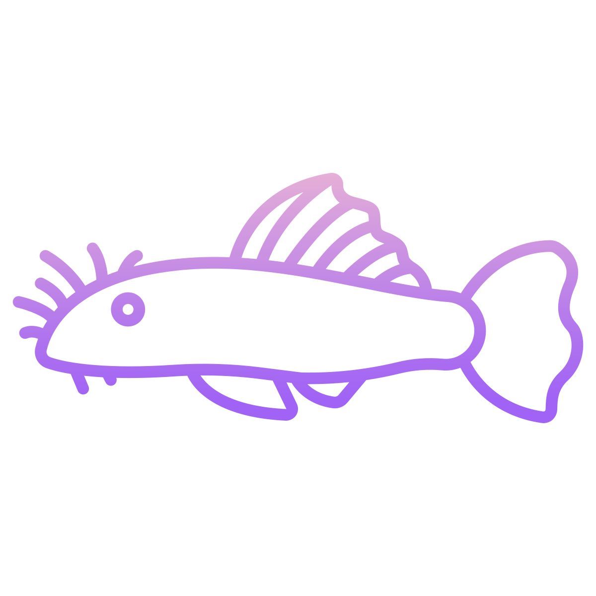 ancistrus fish icon