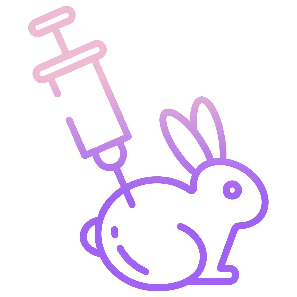 동물 실험 icon