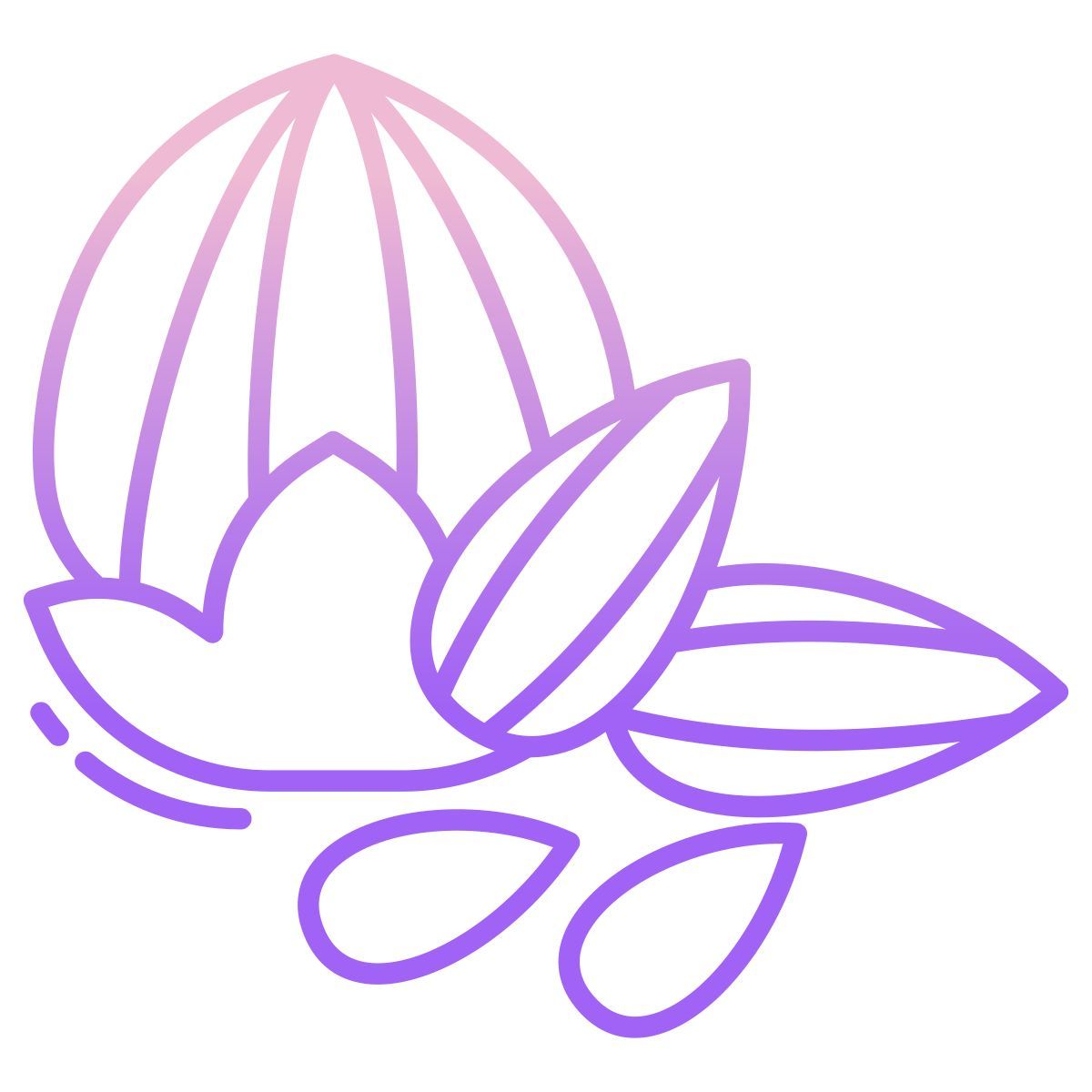 badam and walnut icon