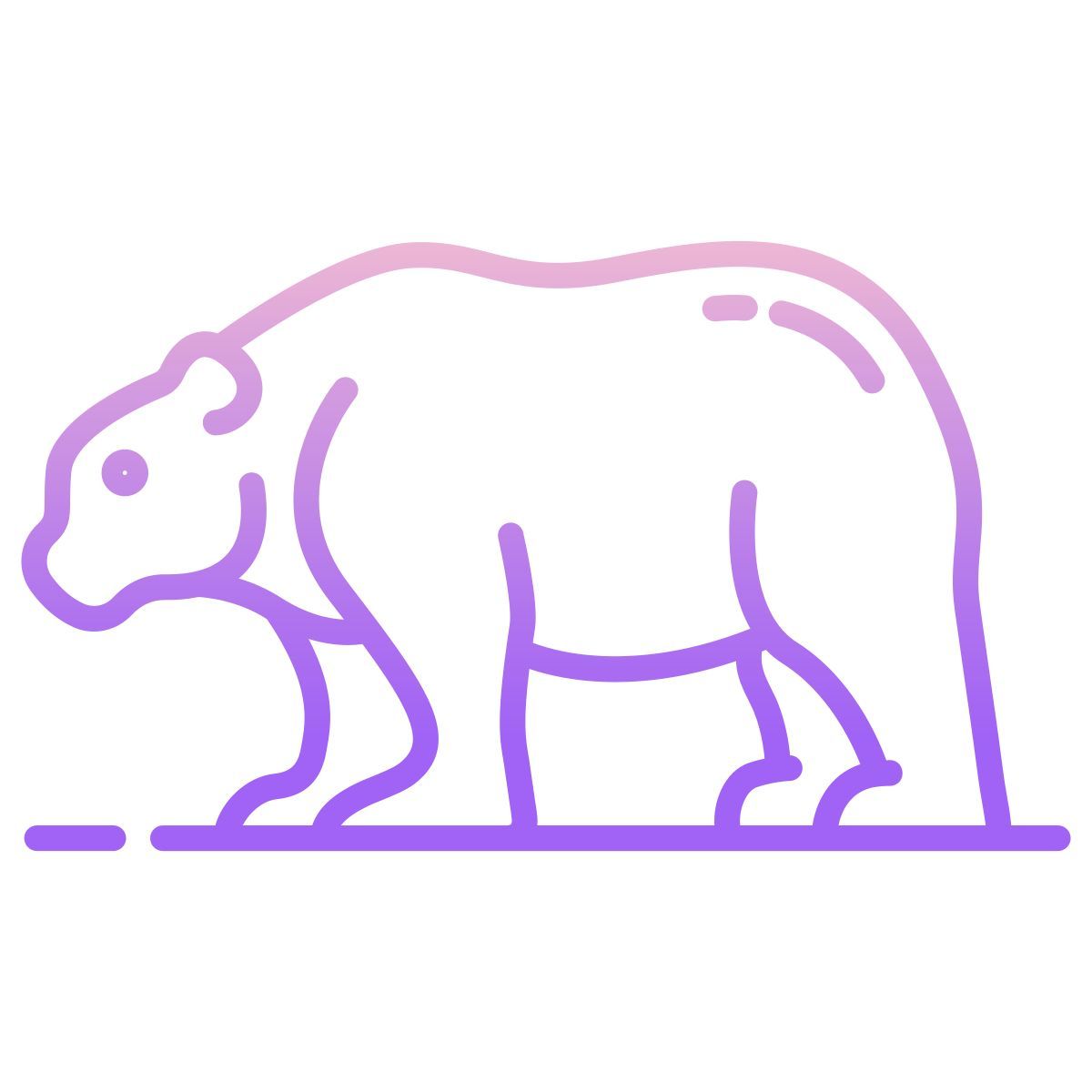 bear icon