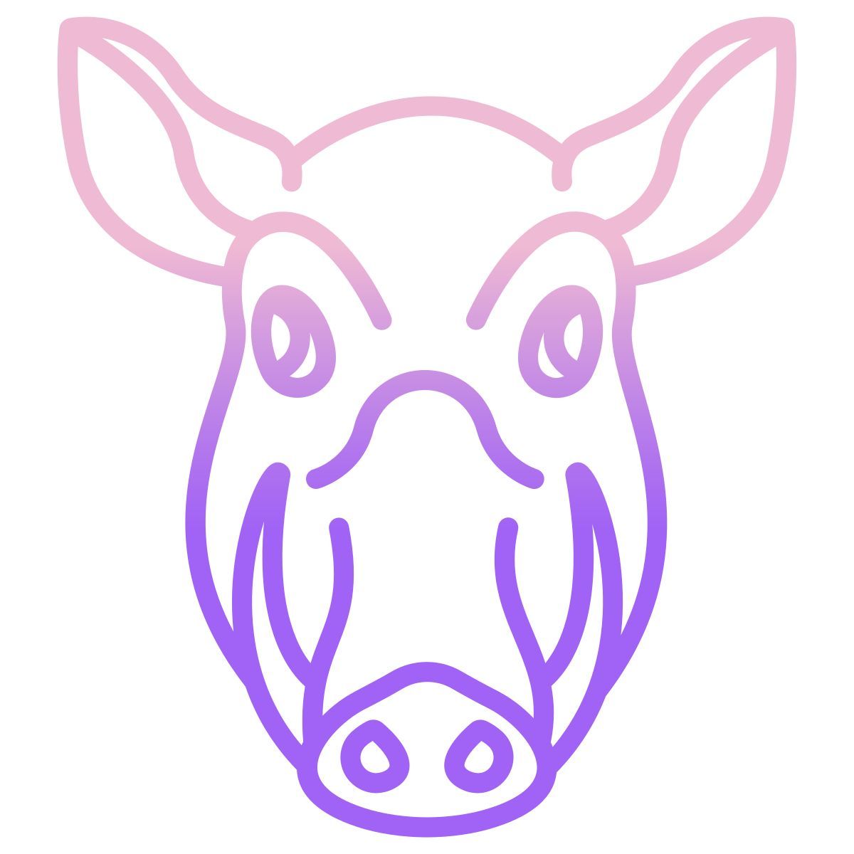 boar icon