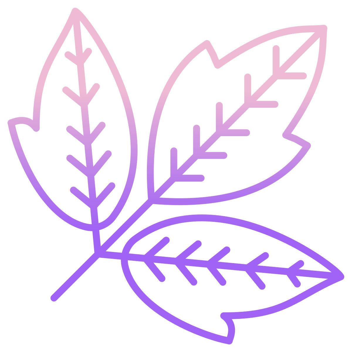 box elder leaf icon