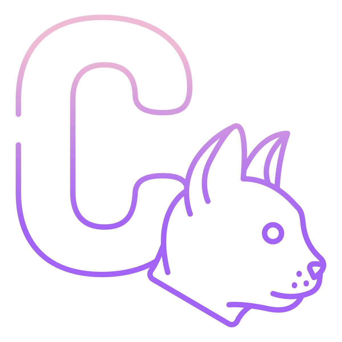 c icon