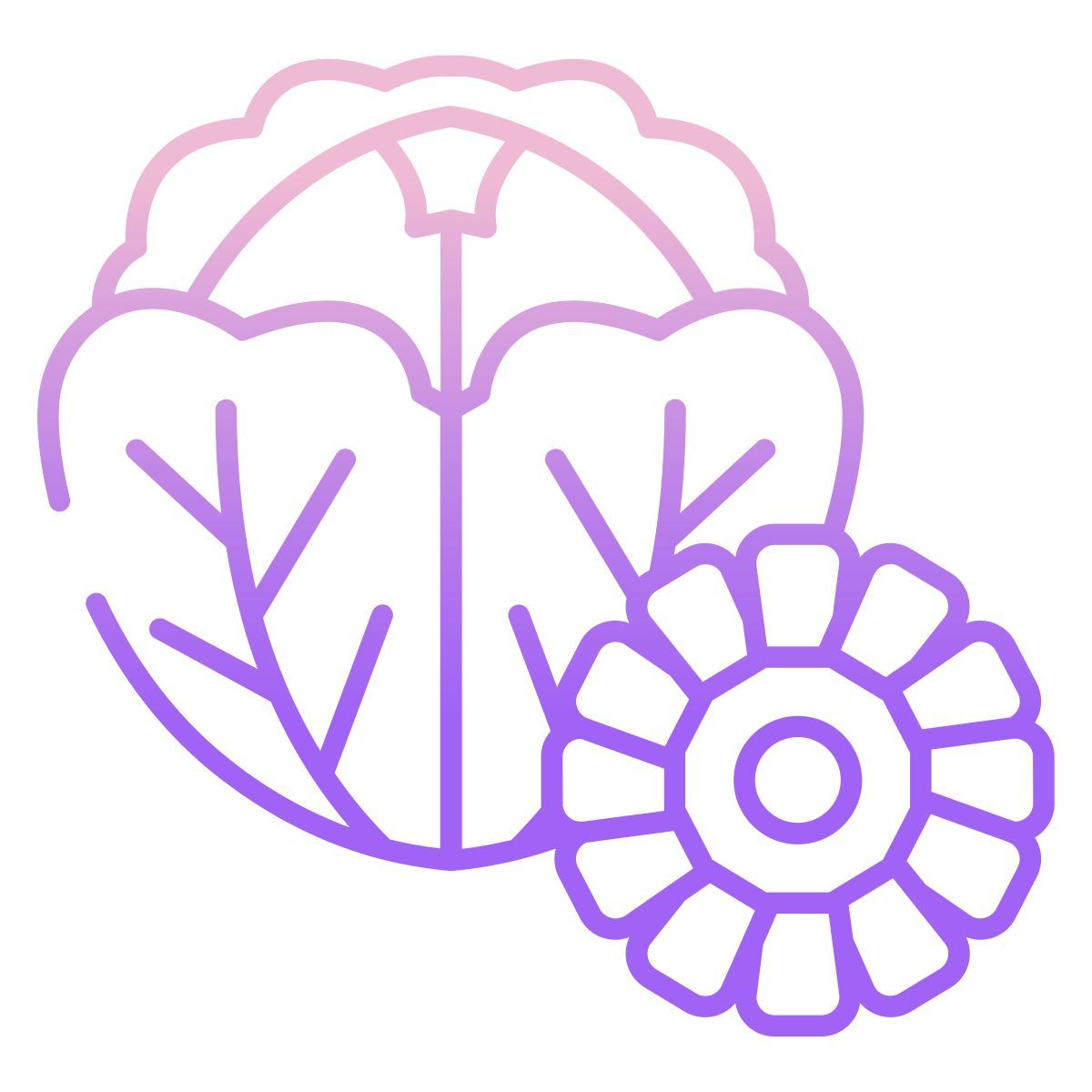 cabbage and corn icon