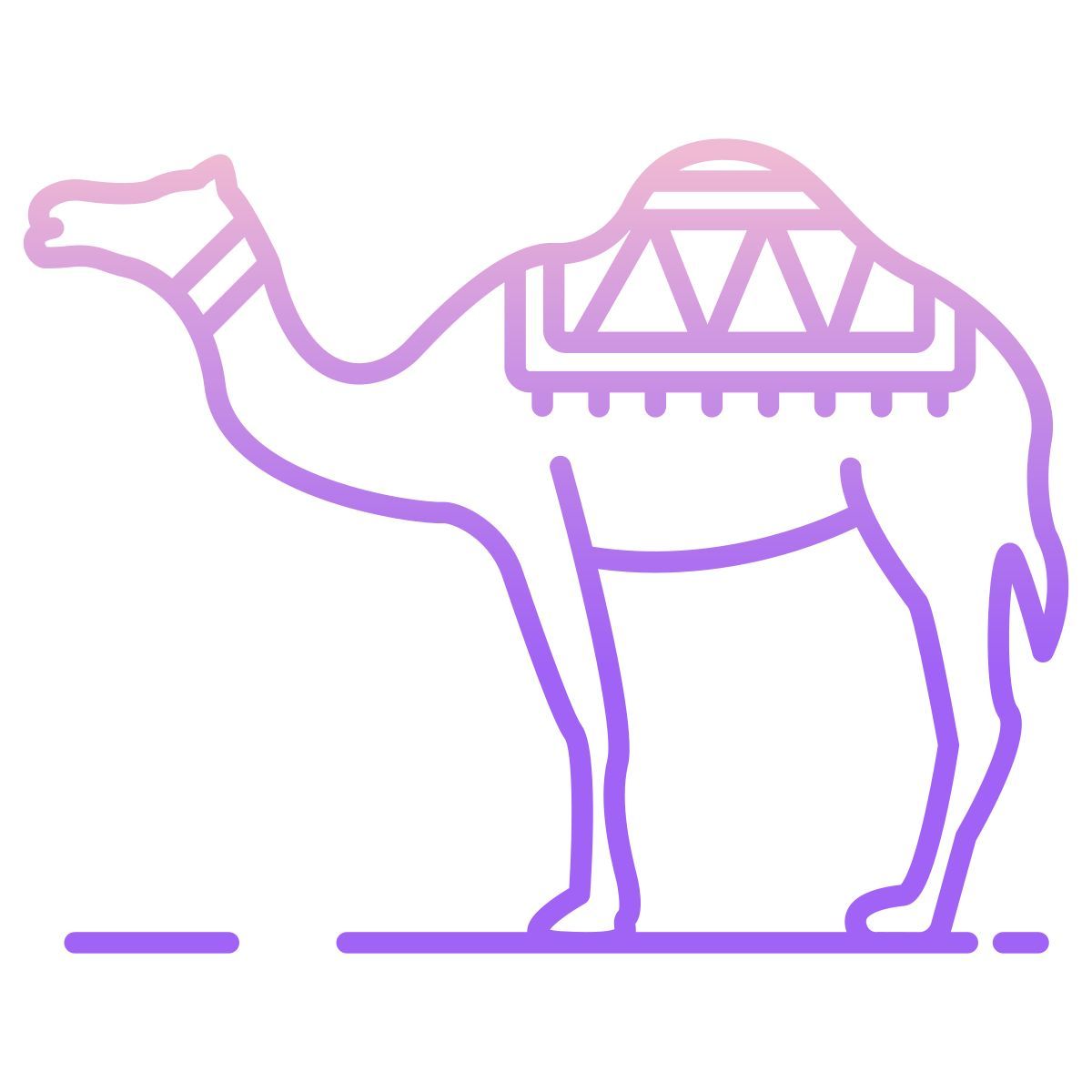 camel icon