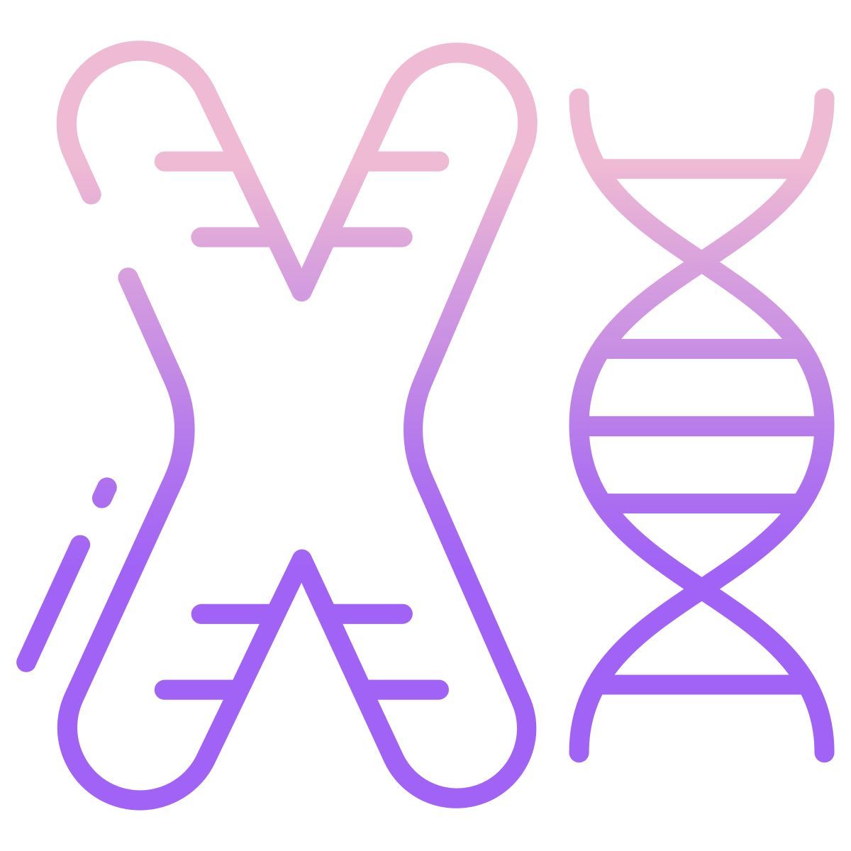 chromosome icon