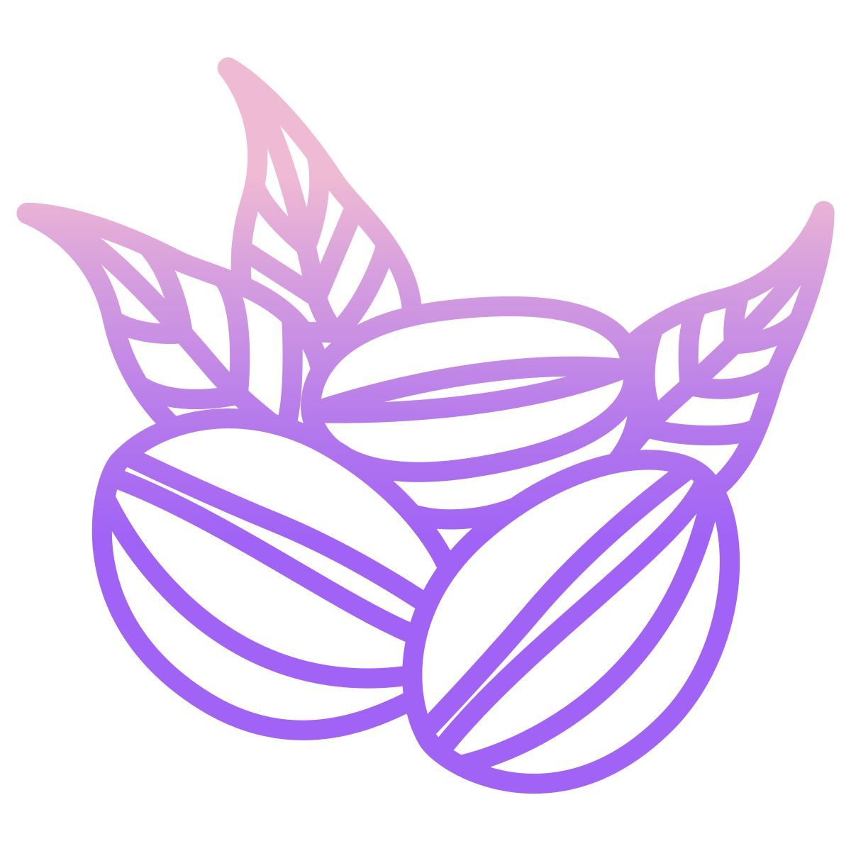 coffee beans icon