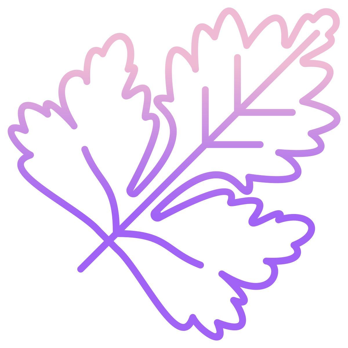 coriander leaf icon