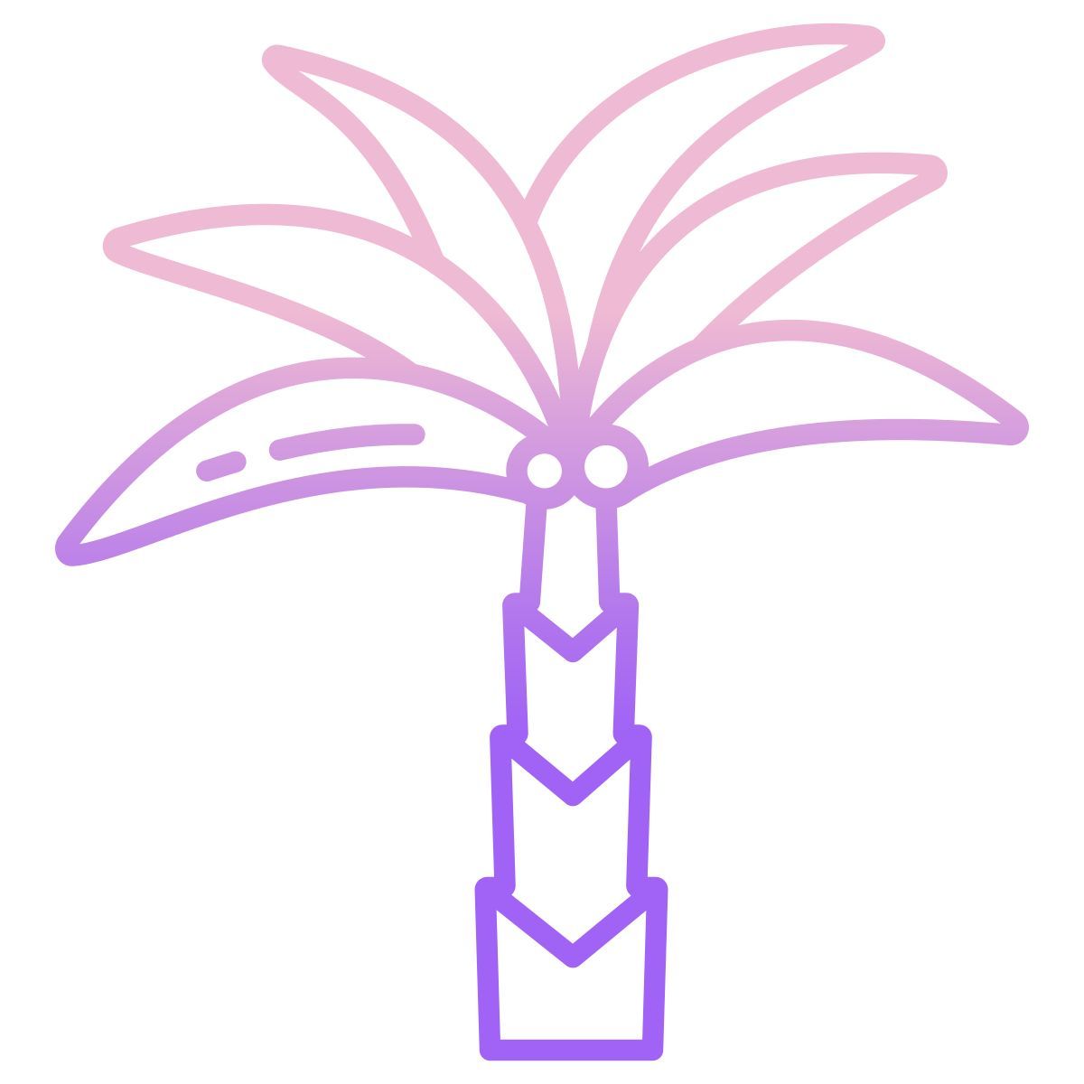 date palm icon