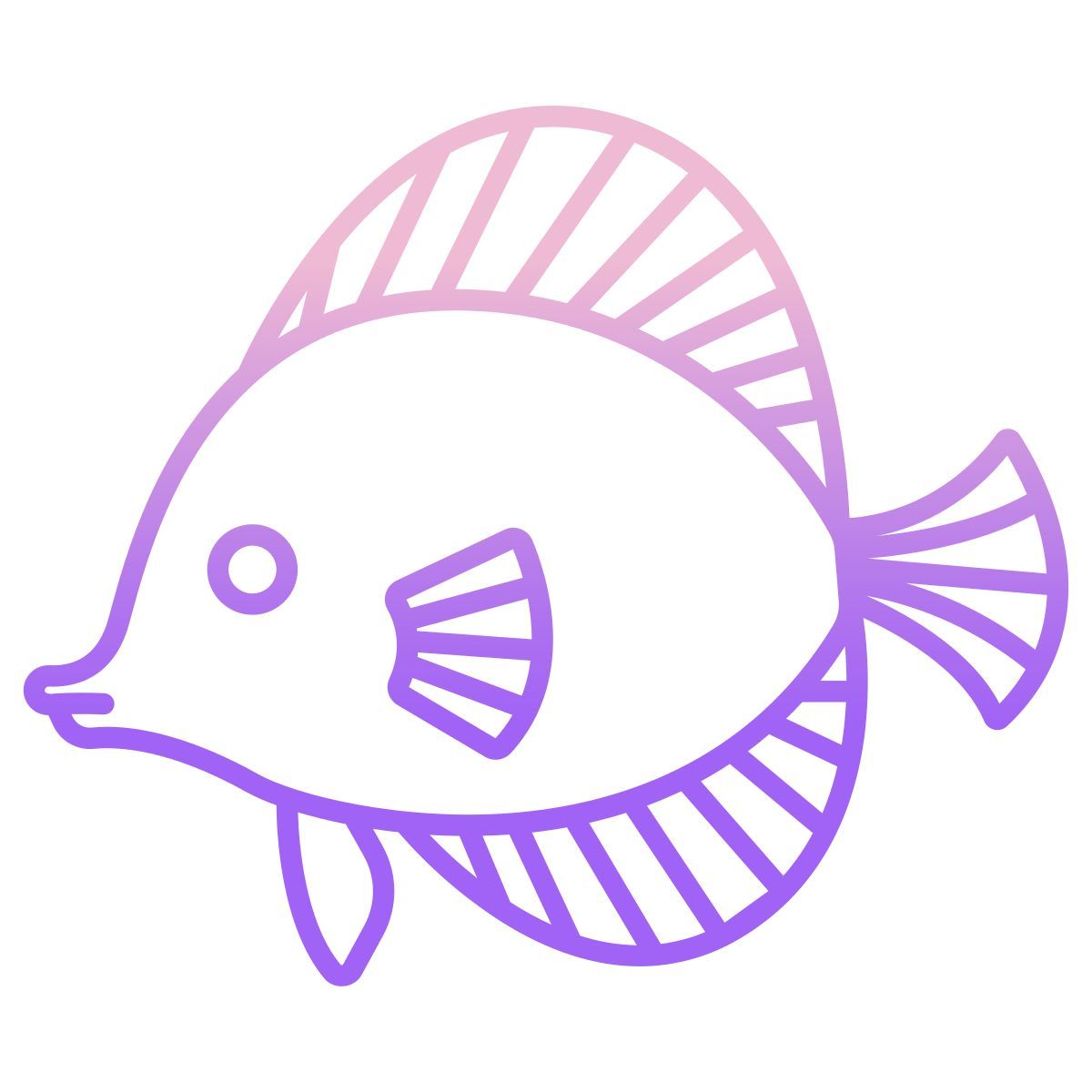discus fish icon