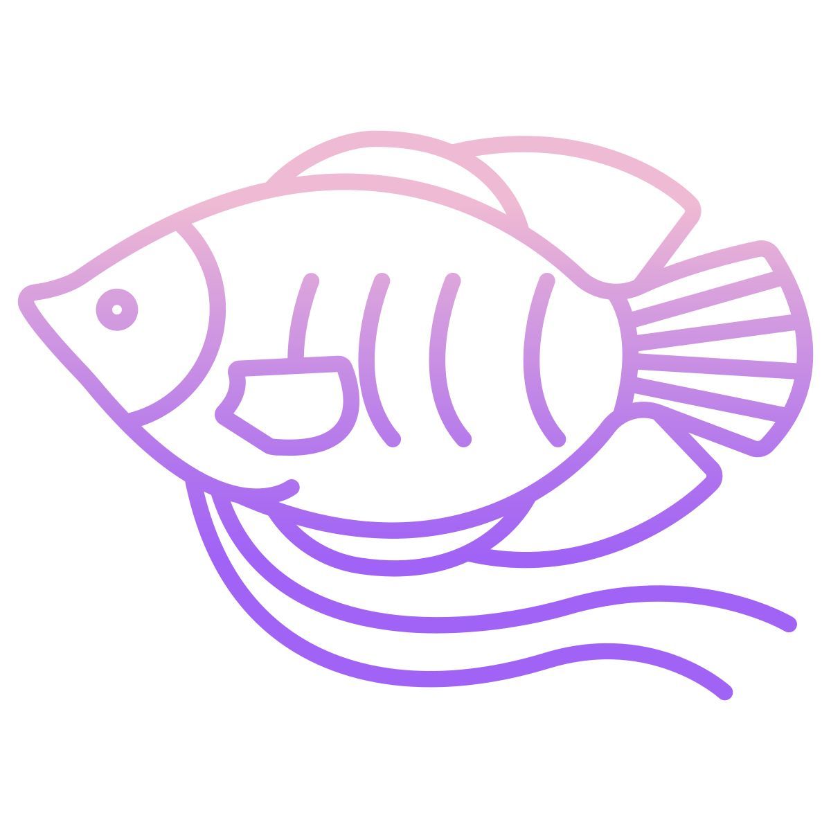 dwarf gurami fish icon