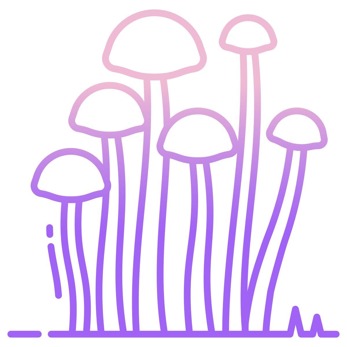 enokitake mushroom icon