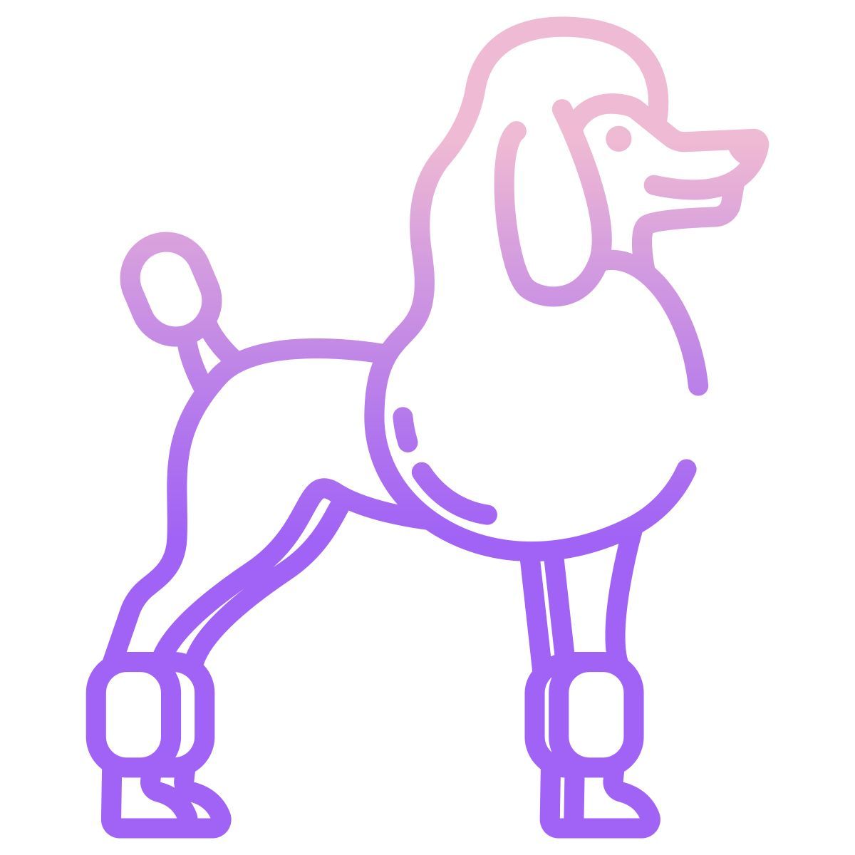 französischer pudel icon