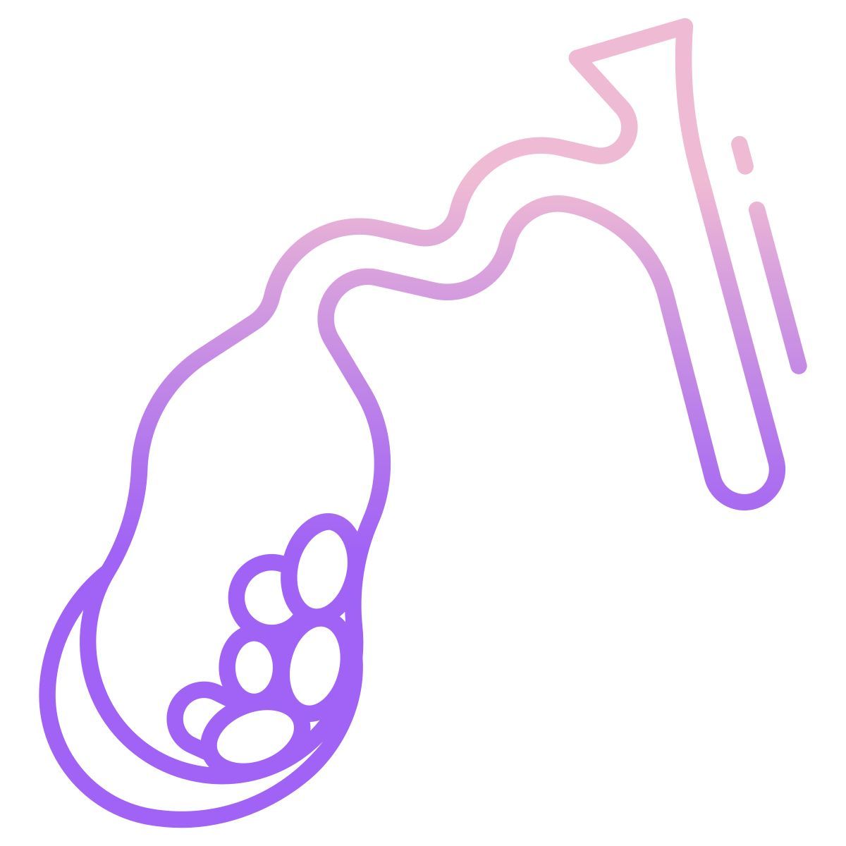 gallbladder disease icon