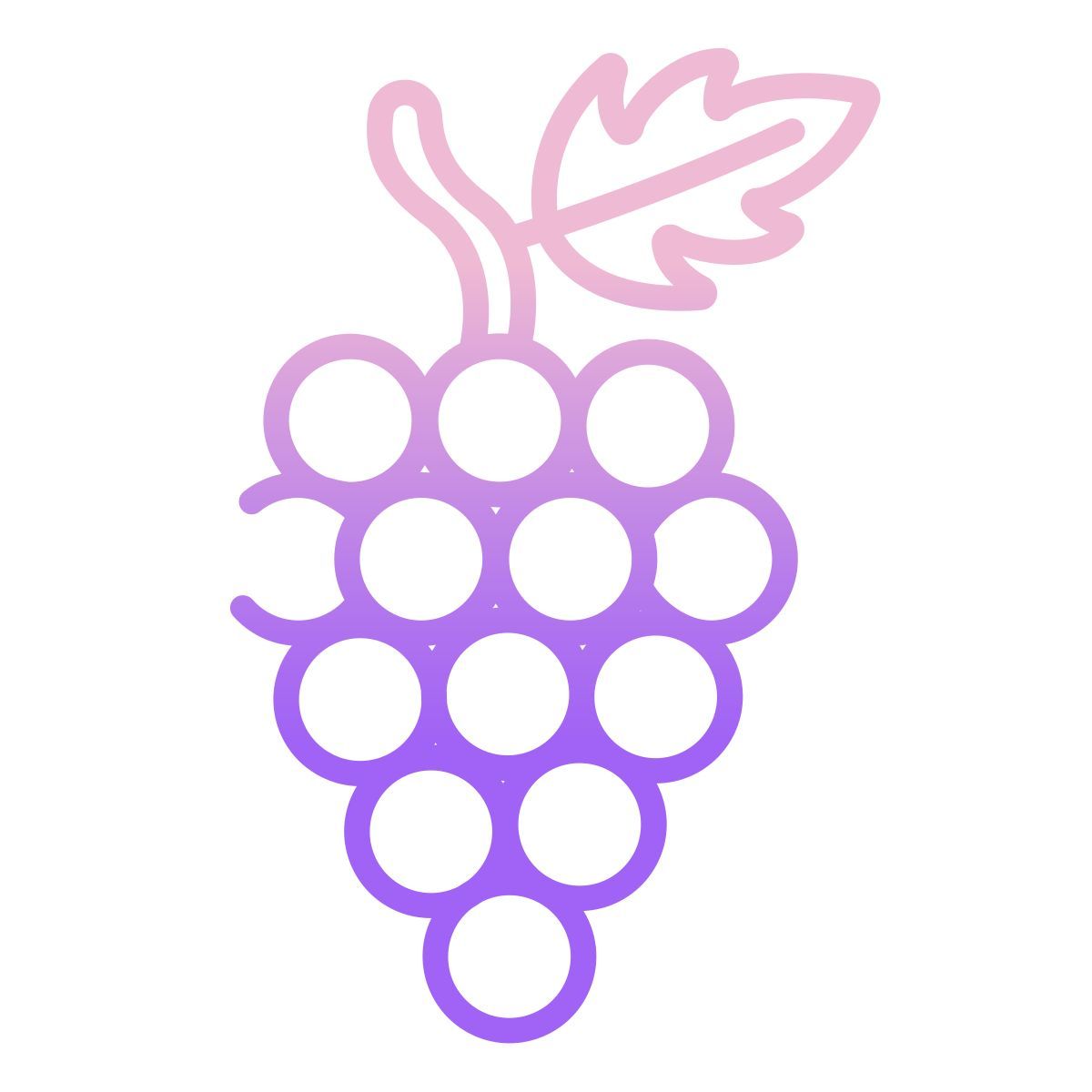 grapes icon
