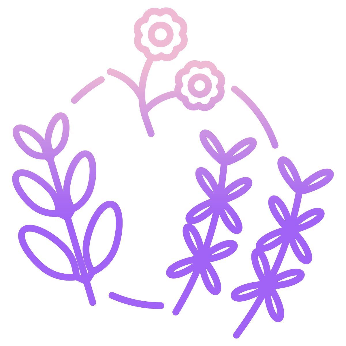 herbs icon