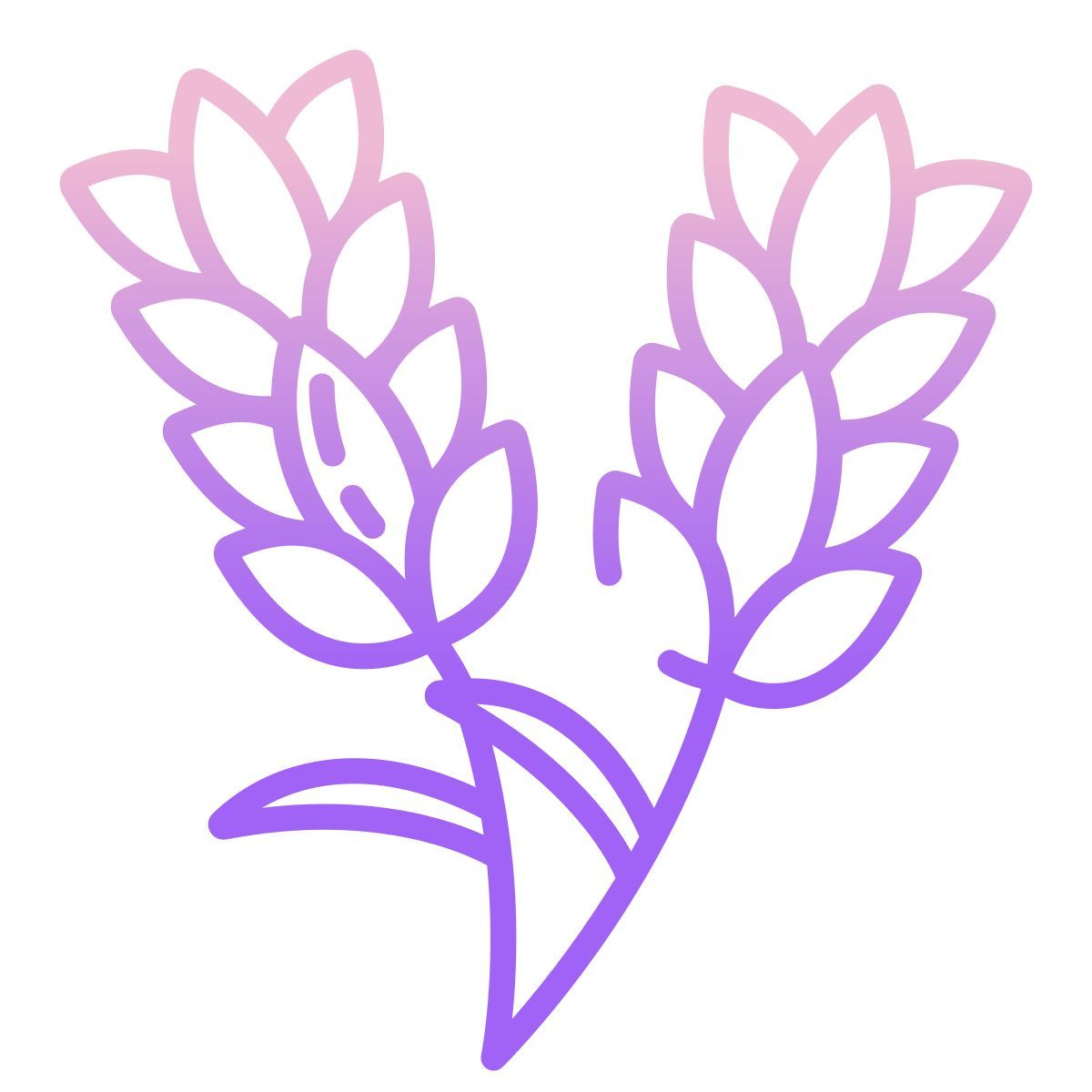 lavanda icon