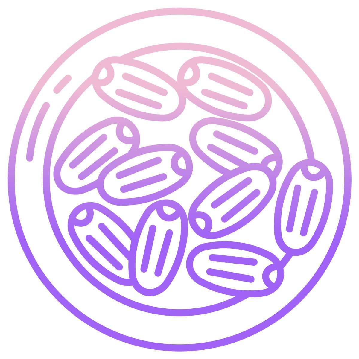 medjool icon
