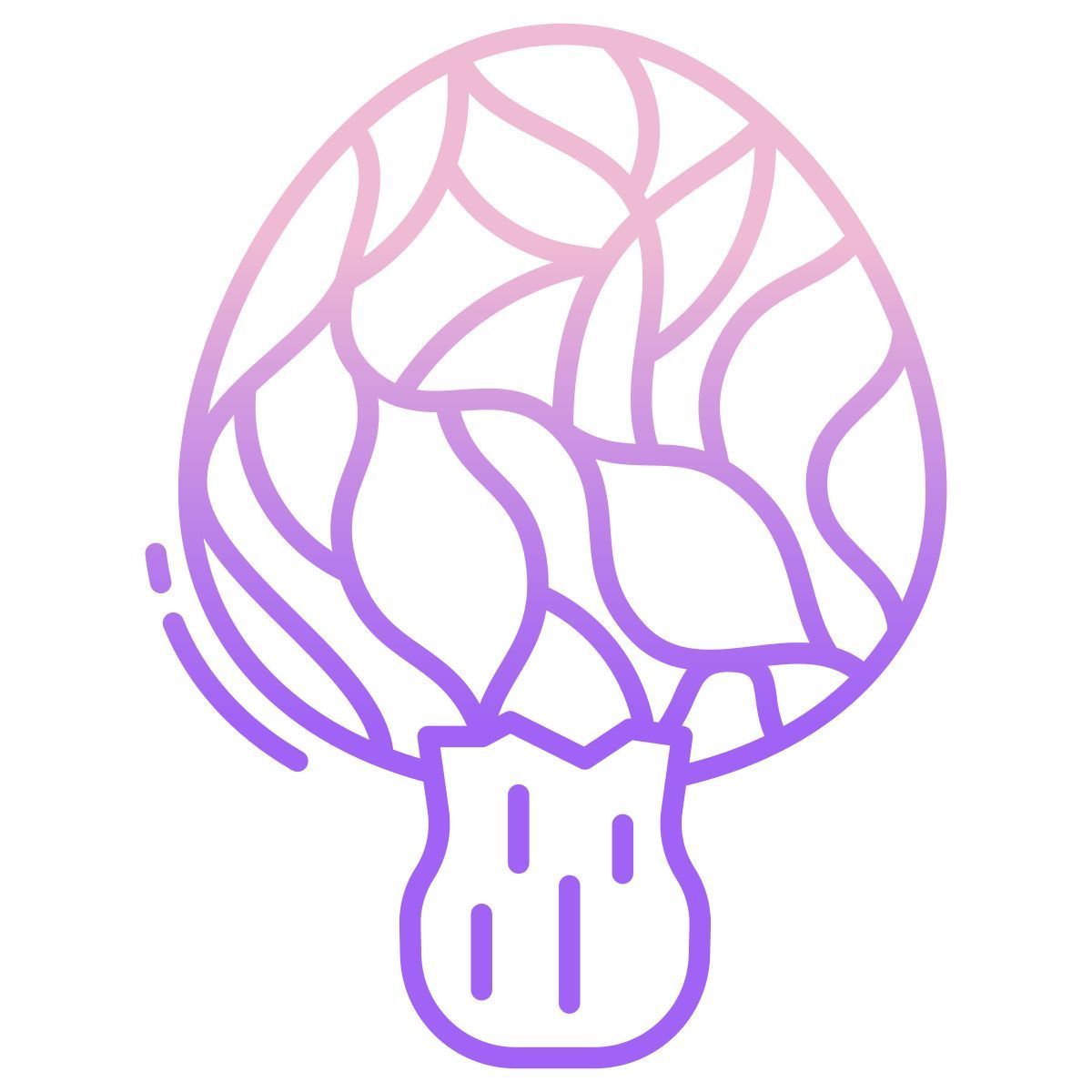 morchella icon