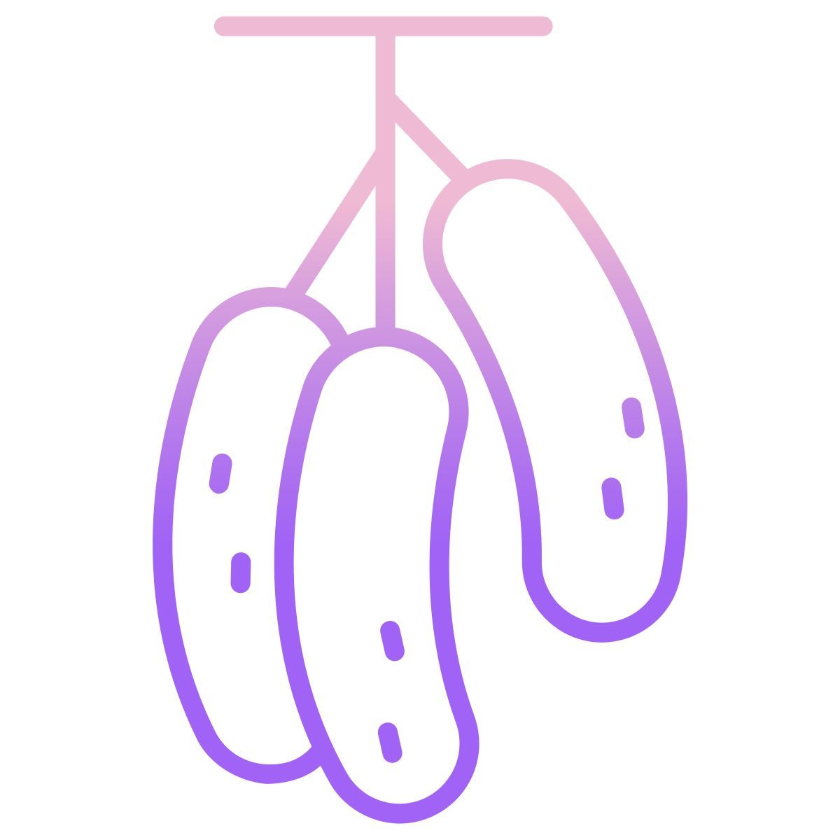 muratina fruits icon