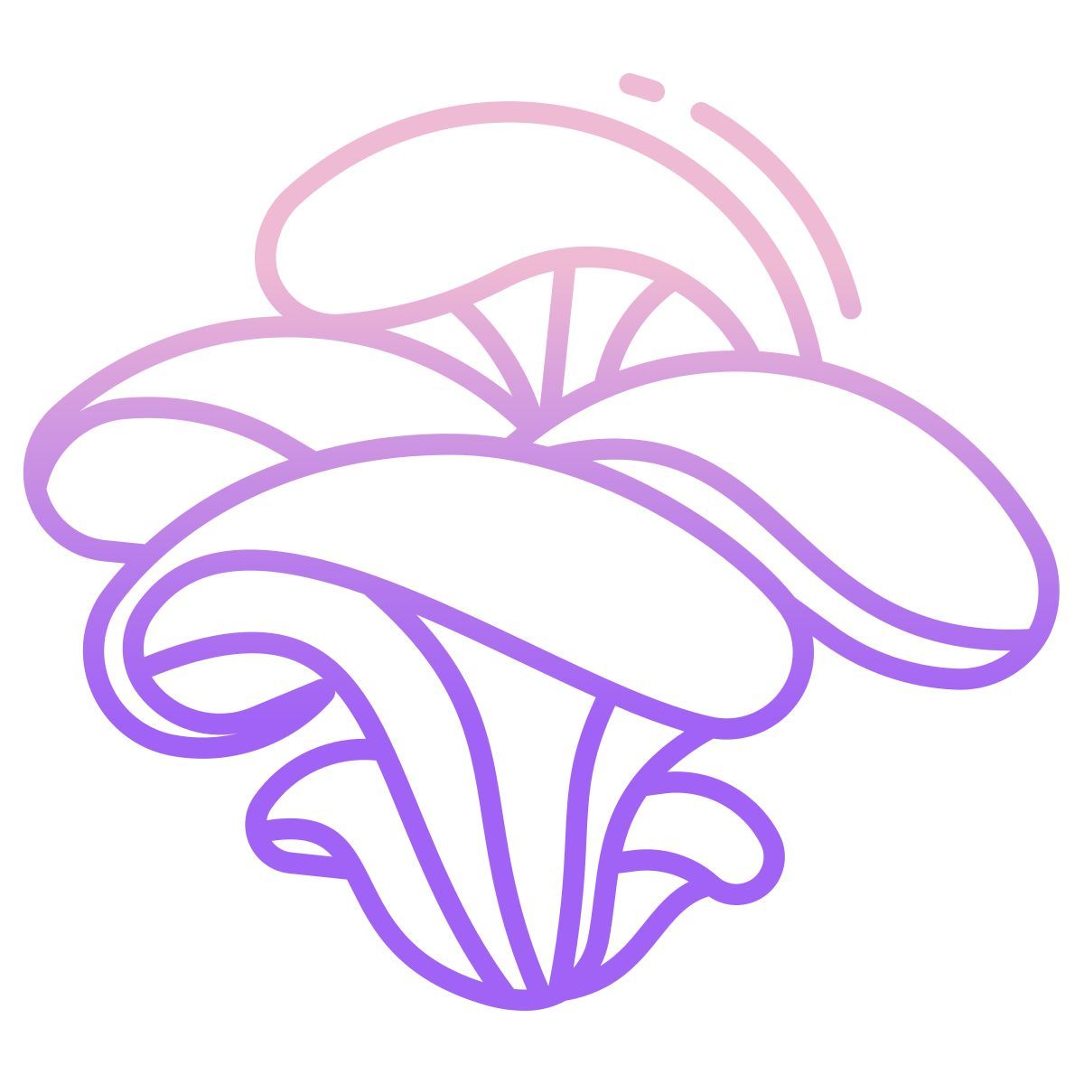 oyster mushrooms icon