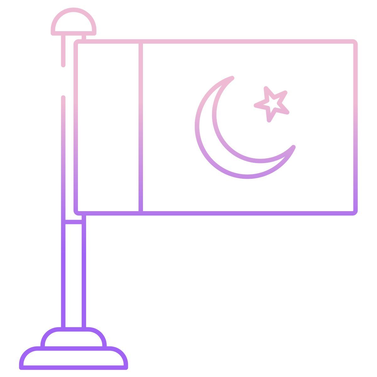 pakistan flag icon