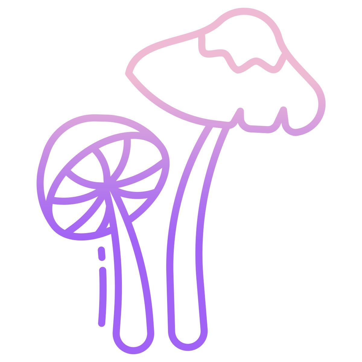 parasol icon