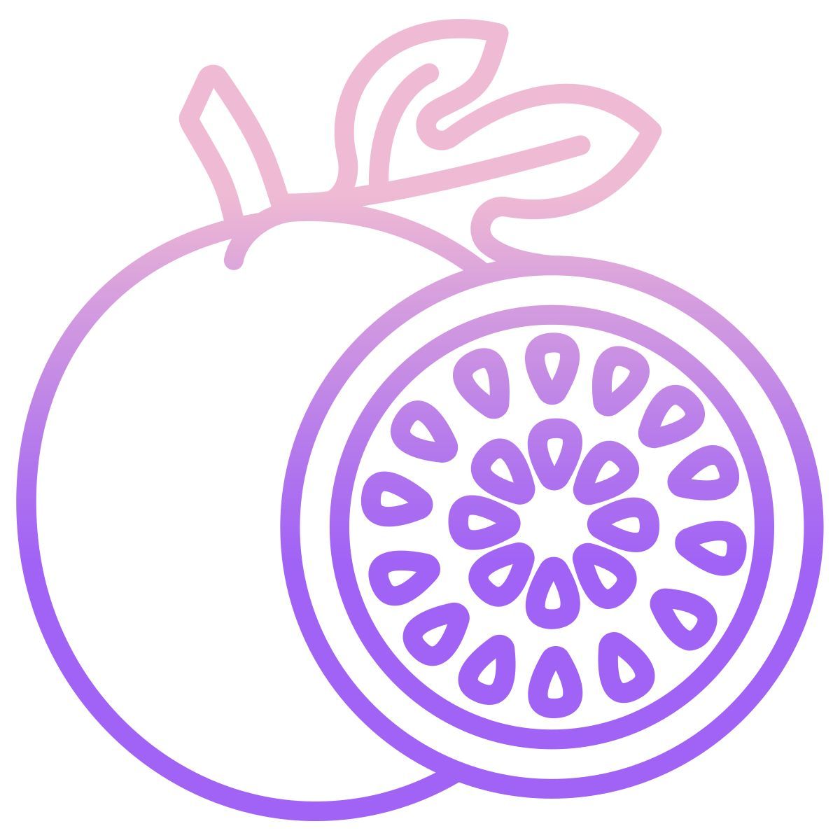 passion fruit icon