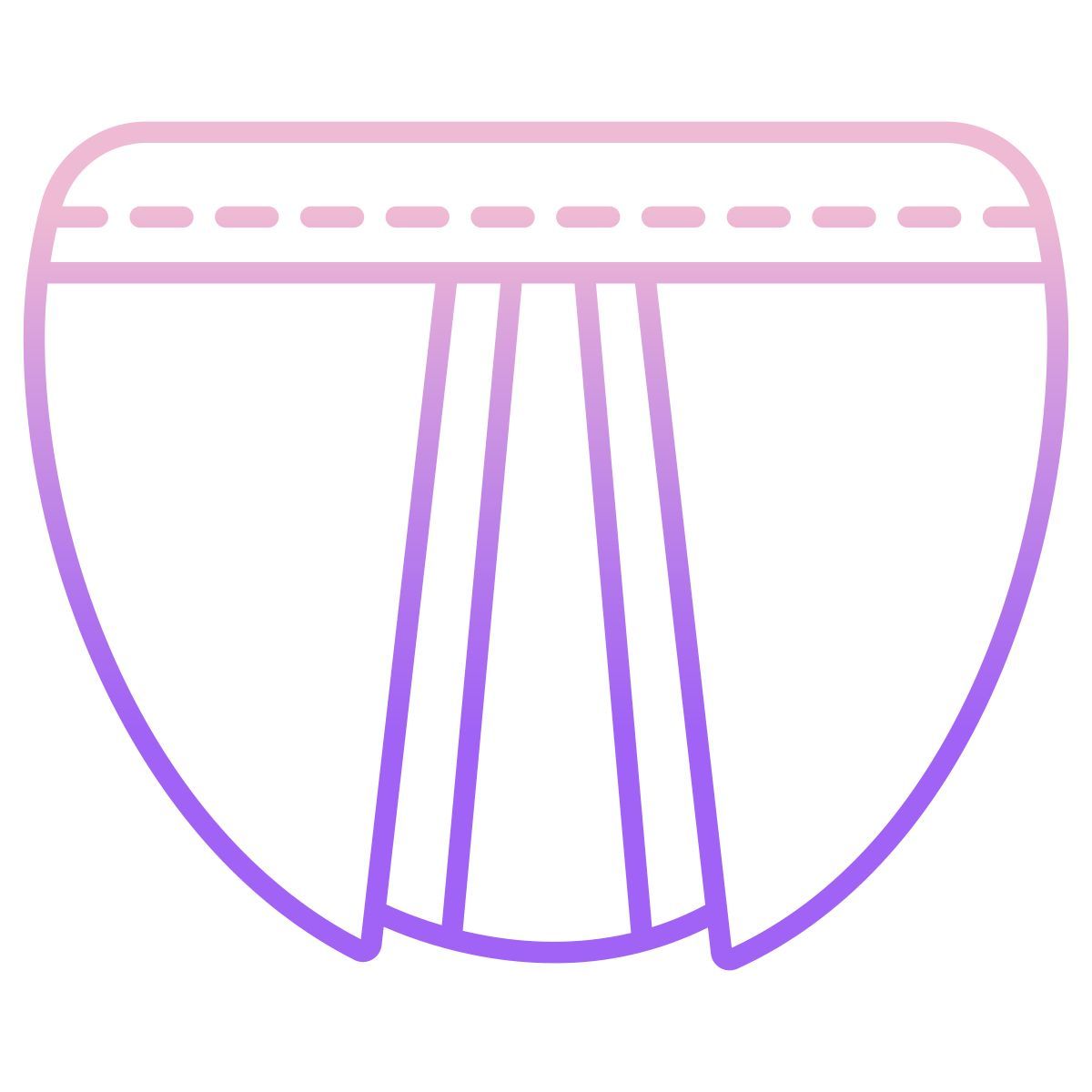 pocket icon