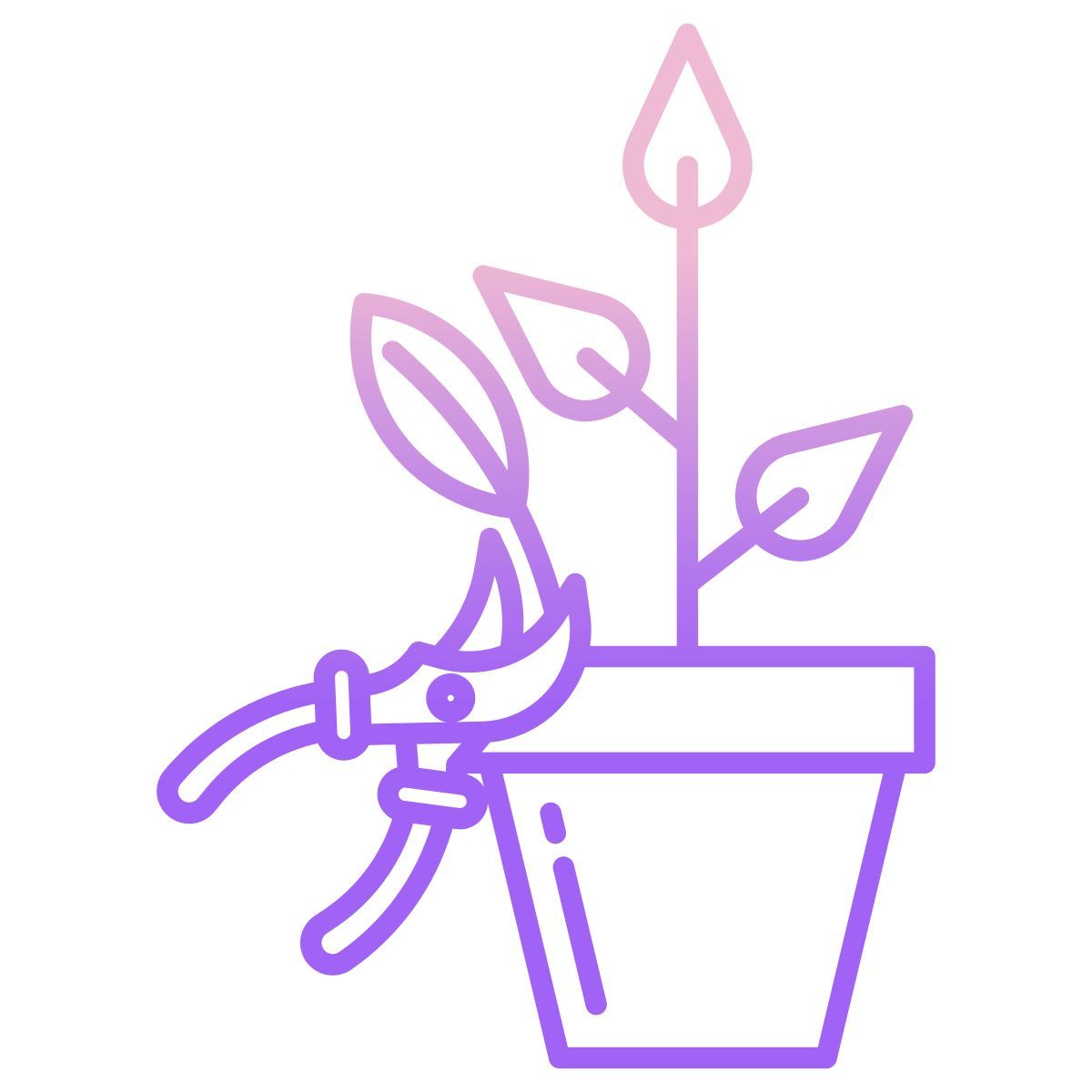 pruning shrubs icon