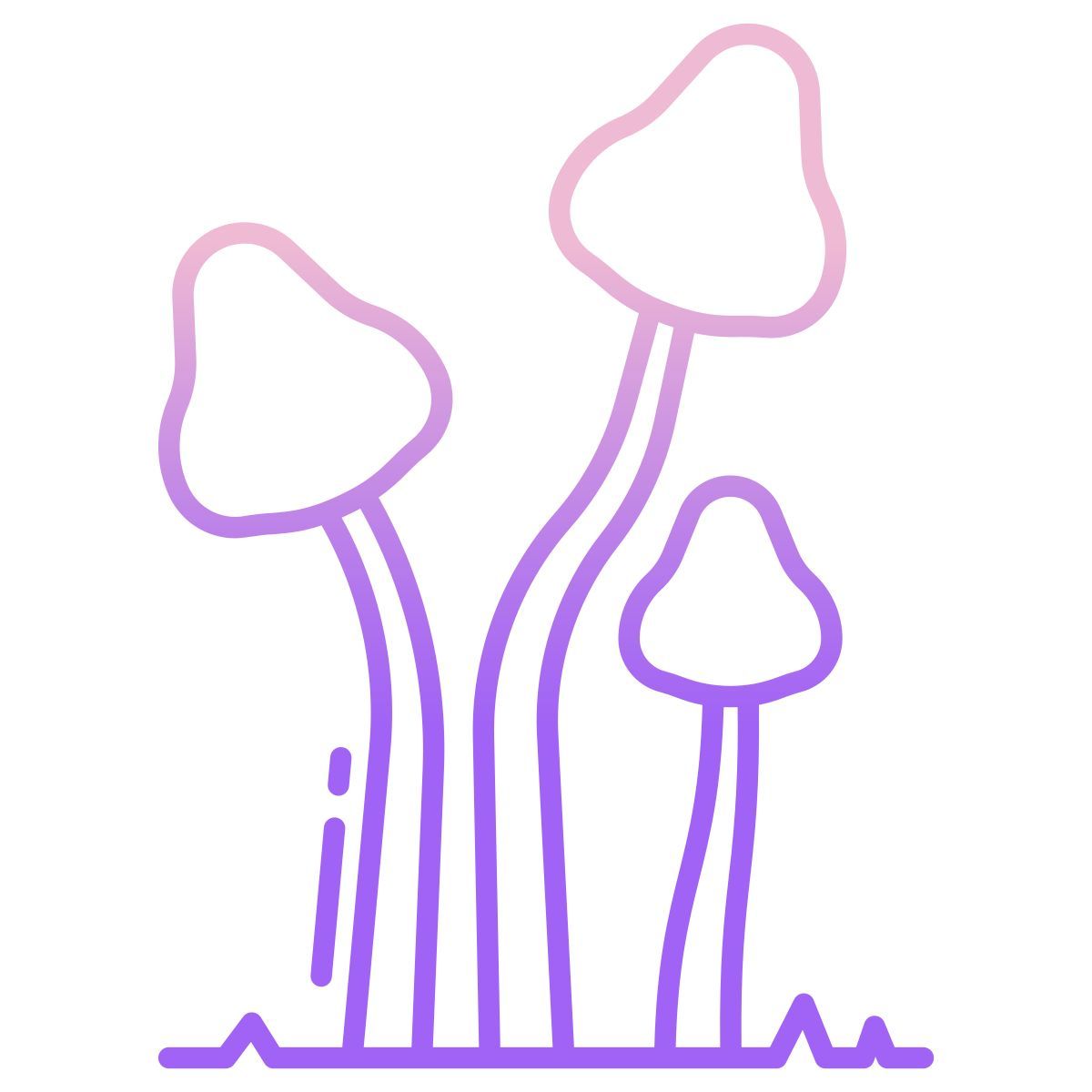 psilocybe semilanceata icon