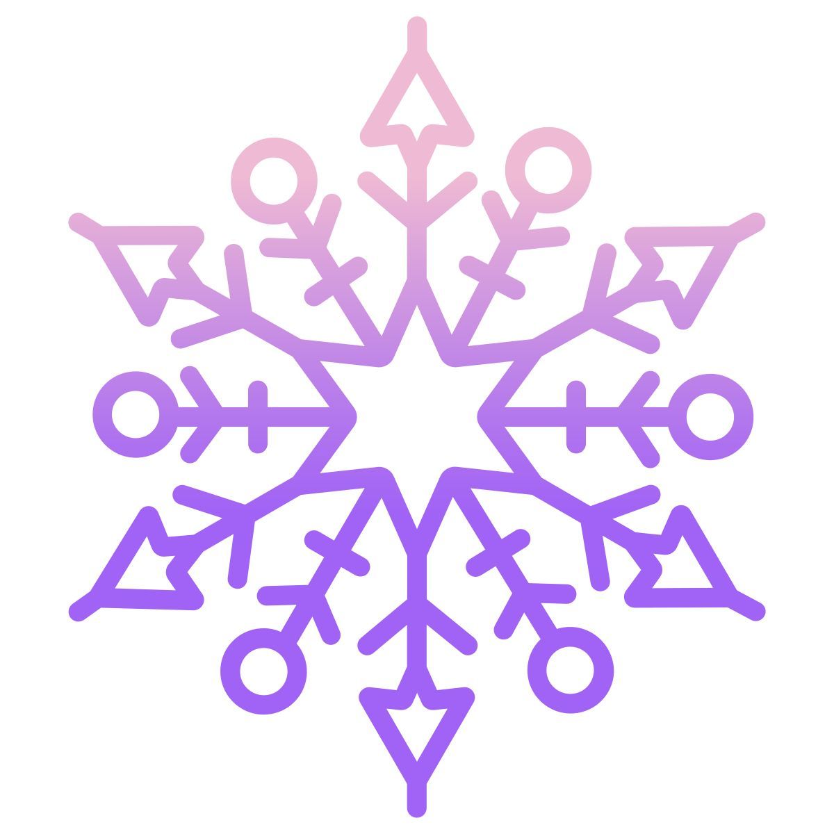 snowflake icon