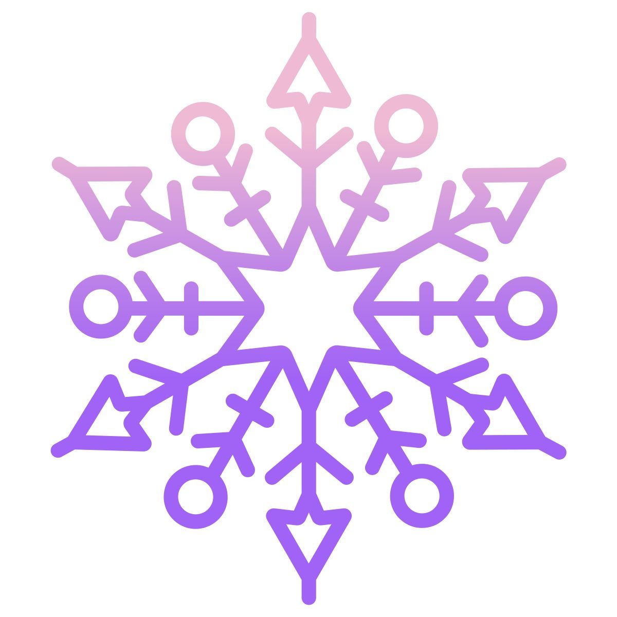 snowflake icon