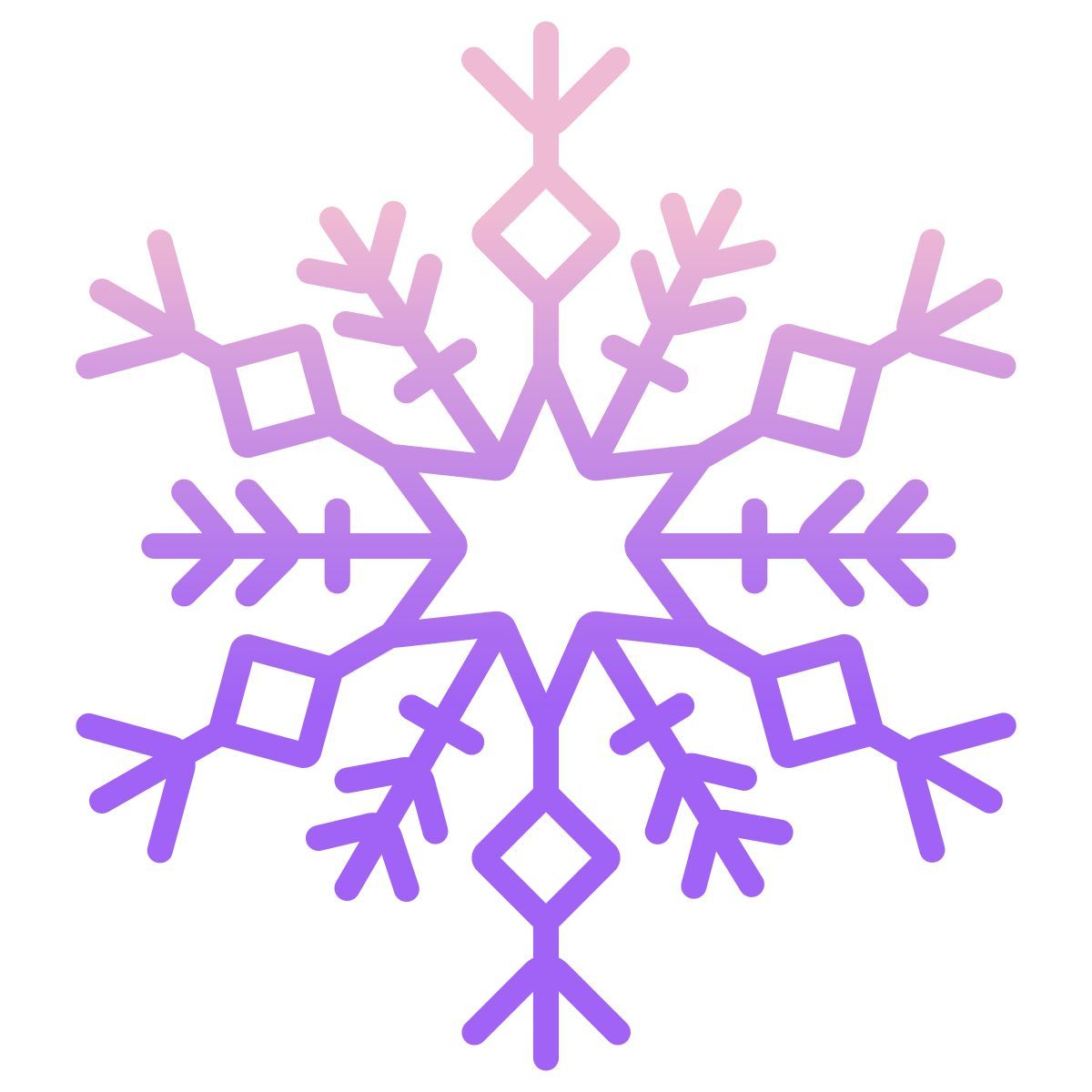 snowflake icon