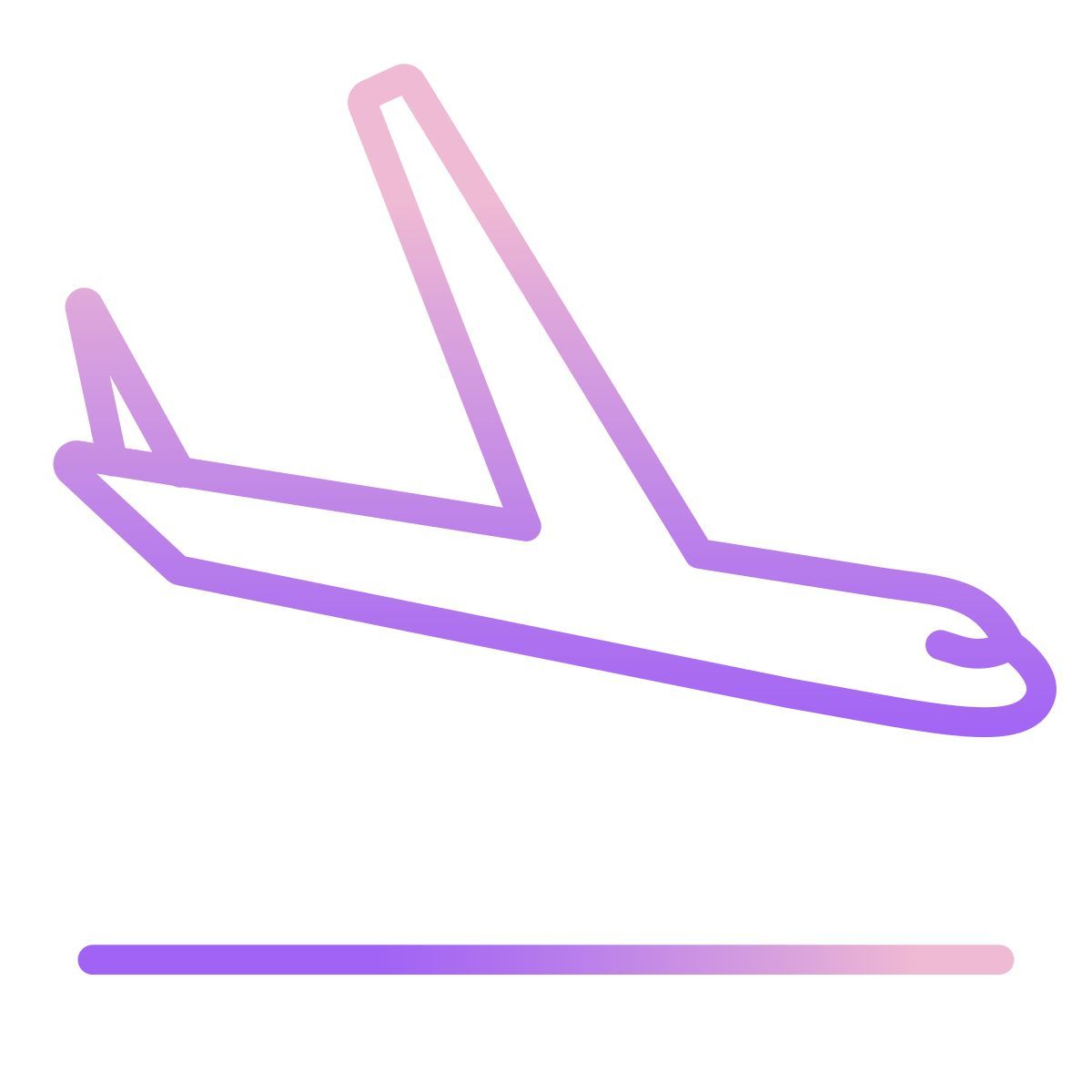 airplane icon
