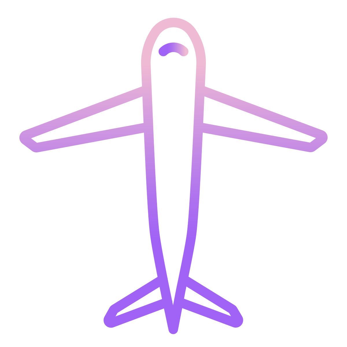 airplane icon