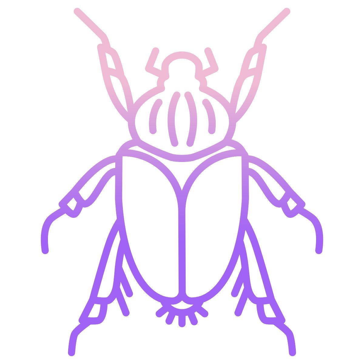 beetle icon