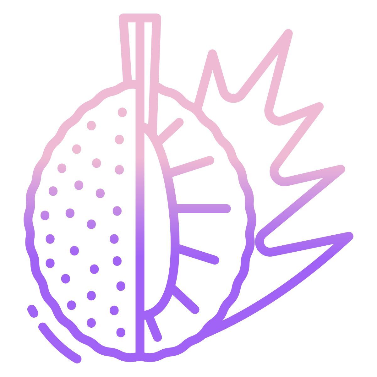 breadfruit icon