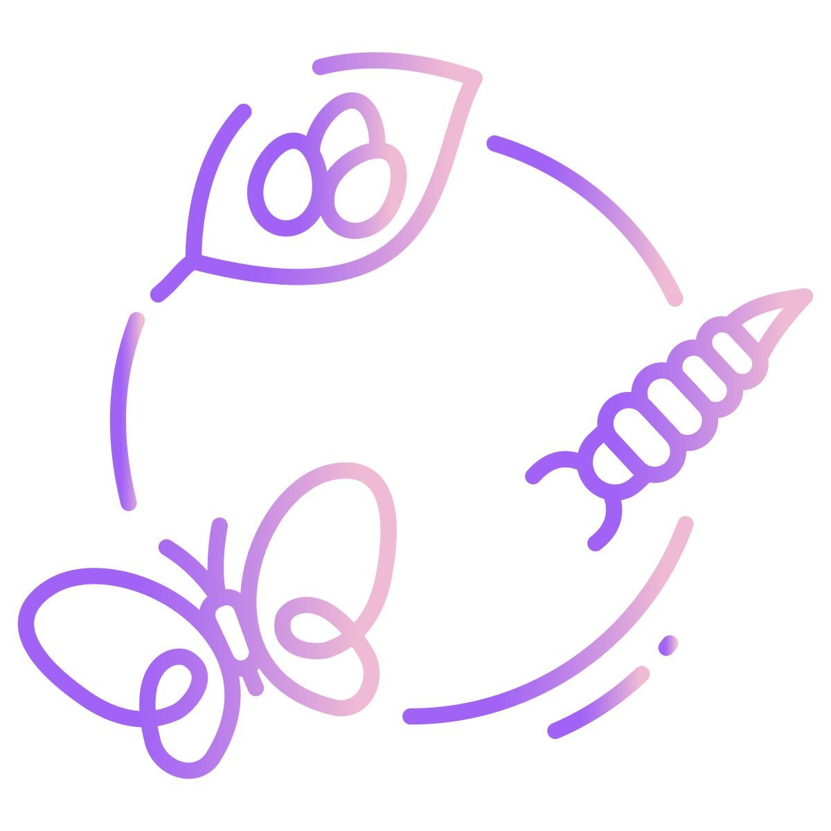 butterfly icon