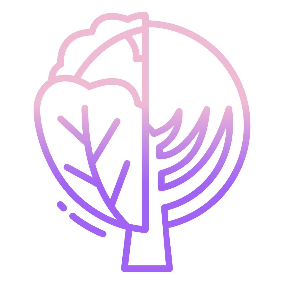 cabbage icon