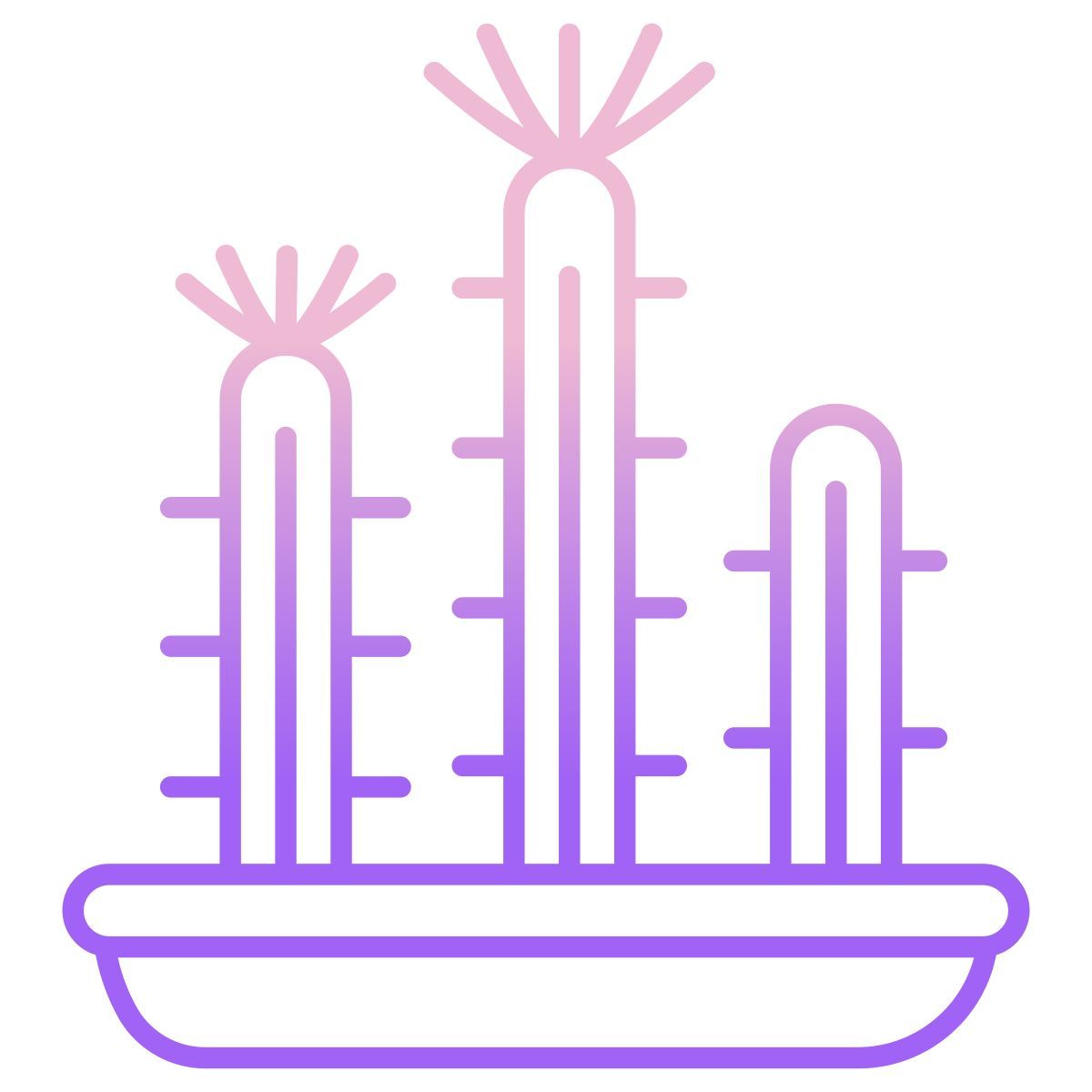cactus icon