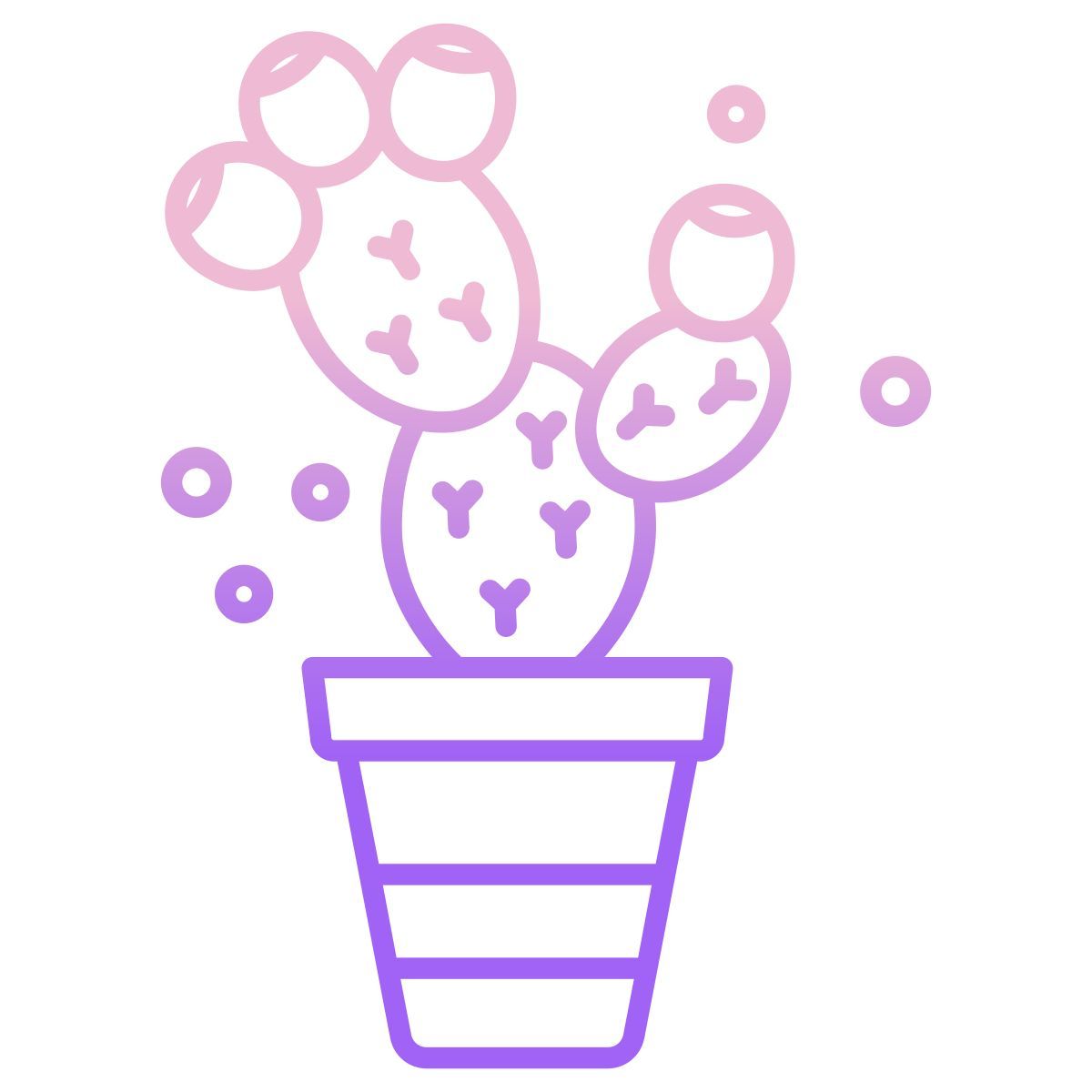 cactus icon