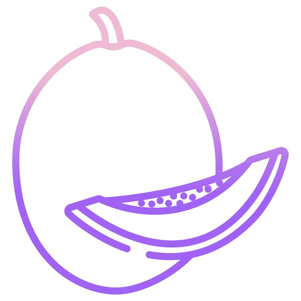 cantaloupe icon