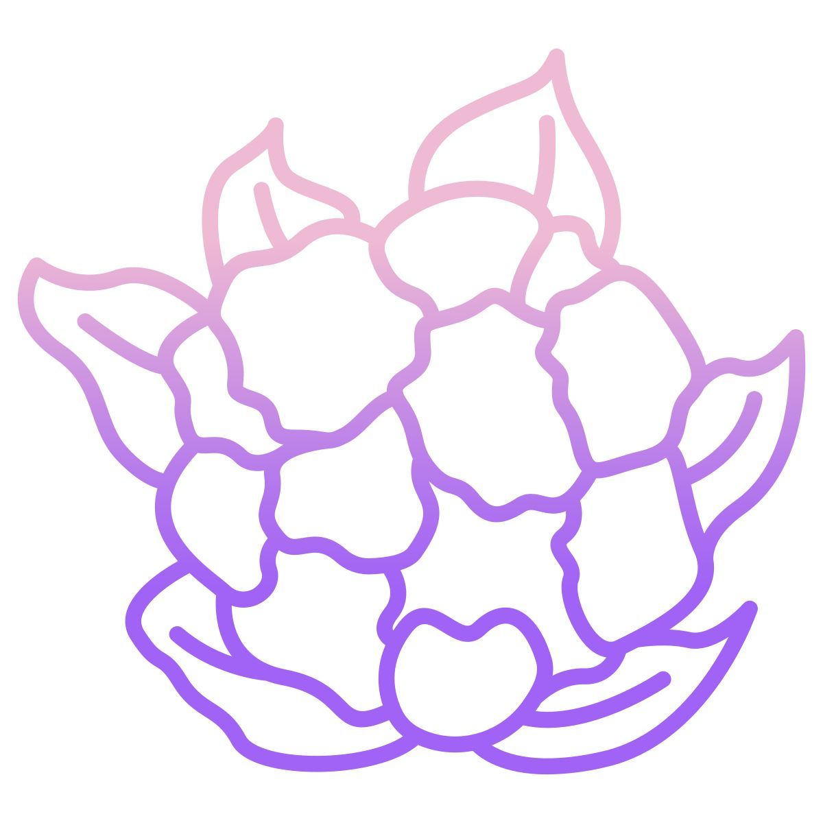 cauliflower icon