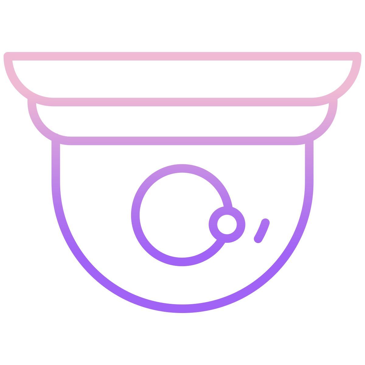 cftv icon